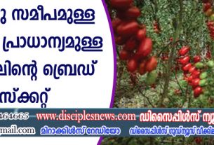 ഗാസയ്ക്കു സമീപമുള്ള ബൈബിള്‍ പ്രാധാന്യമുള്ള യിസ്രായേലിന്റെ ബ്രെഡ് ബാസ്ക്കറ്റ് വീണ്ടെടുക്കുന്നു.