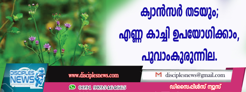 കാന്‍സര്‍ തടയും; എണ്ണ കാച്ചി ഉപയോഗിക്കാം, പൂവാംകുരുന്നില