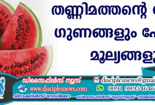 തണ്ണിമത്തന്റെ ഔഷധ ഗുണങ്ങളും പോഷക മൂല്യങ്ങളും