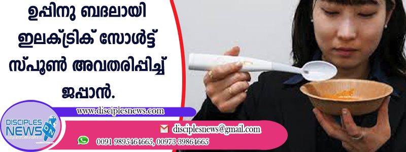 ഉപ്പിനു ബദലായി ഇലക്ട്രിക് സോള്‍ട് സ്പൂണ്‍ അവതരിപ്പിച്ച് ജപ്പാന്‍