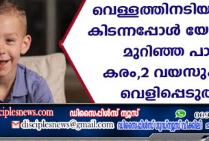 വെള്ളത്തിനടിയില്‍ മുങ്ങി കിടന്നപ്പോള്‍ യേശു താങ്ങി, മുറിഞ്ഞ പാടുള്ള കരം കണ്ടു, രണ്ടു വയസുകാരന്റെ വെളിപ്പെടുത്തല്‍