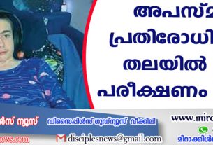 അപസ്മാരം പ്രതിരോധിക്കാന്‍ തലയില്‍ ചിപ്പ്; പരീക്ഷണം വിജയം