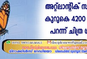 അറ്റ്ലാന്റിക് സമുദ്രത്തിനു കുറുകെ 4200 കിലോമീറ്റര്‍ പറന്ന് ചിത്ര ശലഭങ്ങള്‍