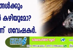 മൃഗങ്ങള്‍ക്കും എണ്ണാന്‍ കഴിയുമോ? കഴിയുമെന്ന് കണ്ടെത്തി ഗവേഷകര്‍