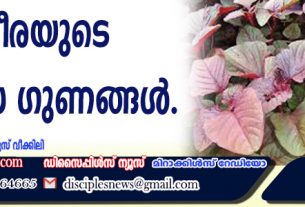 ചീരയുടെ ഔഷധ ഗുണങ്ങള്‍