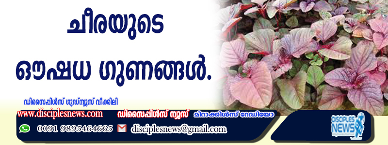 ചീരയുടെ ഔഷധ ഗുണങ്ങള്‍