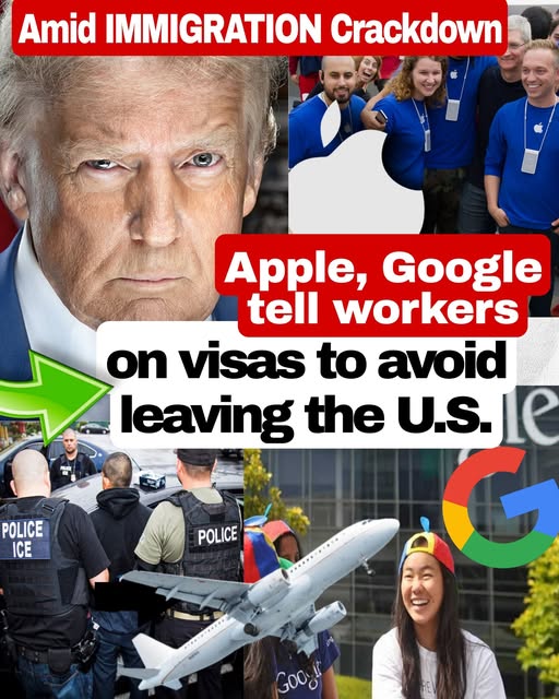 യുഎസ് വിസ വൈകുന്നു: വിദേശയാത്ര ഒഴിവാക്കാൻ ജീവനക്കാർക്ക് ഗൂഗിളിന്റെ നിർദ്ദേശം