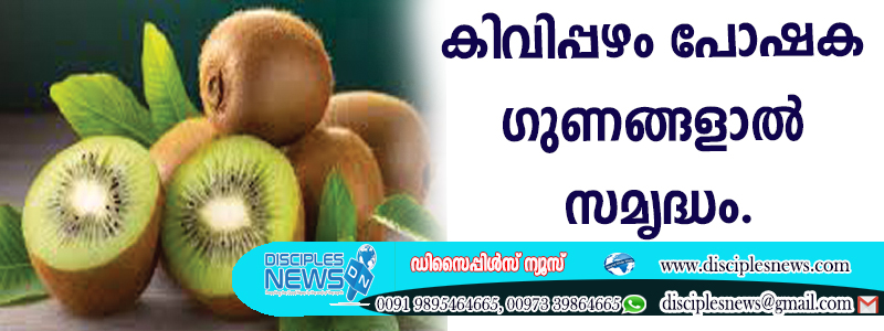 കിവിപ്പഴം പോഷക ഗുണങ്ങളാല്‍ സമൃദ്ധം