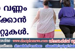 അമിതവണ്ണം കുറയ്ക്കാന്‍ 4 ഡയറ്റുകള്‍