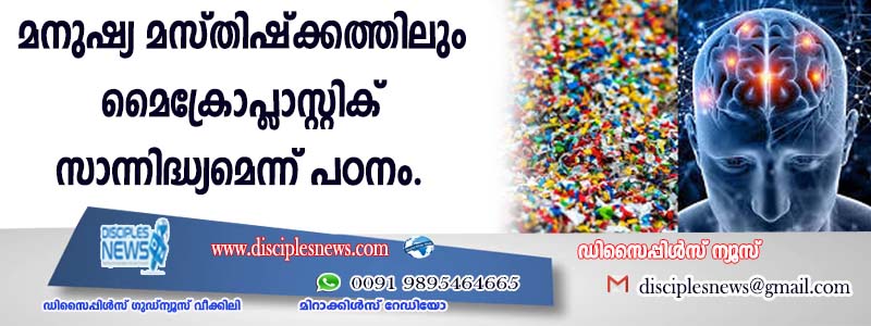 മനുഷ്യ മസ്തിഷ്ക്കത്തിലും മൈക്രോപ്ളാസ്റ്റിക് സാന്നിദ്ധ്യമെന്ന് പഠനം