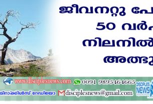 ജീവനറ്റുപോയിട്ടും 50 വര്‍ഷമായി നിലനില്‍ക്കുന്ന അത്ഭുത മരം