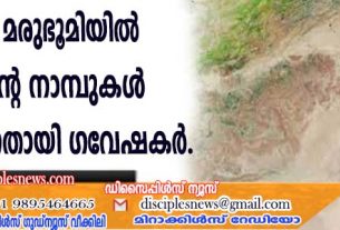 സഹാറ മരുഭൂമിയില്‍ പച്ചപ്പിന്റെ നാമ്പുകള്‍ മുളയ്ക്കുന്നതായി ഗവേഷകര്‍
