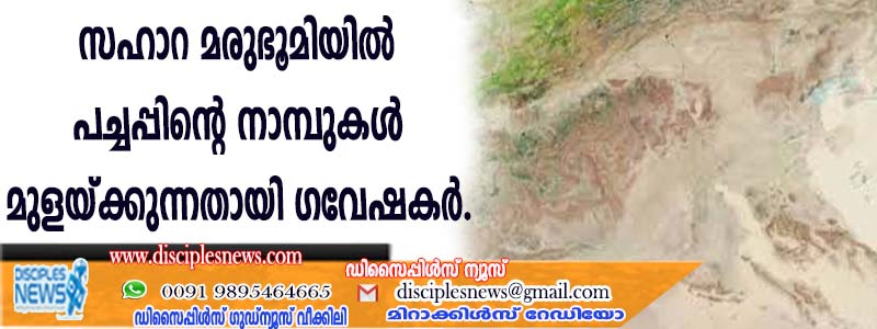സഹാറ മരുഭൂമിയില്‍ പച്ചപ്പിന്റെ നാമ്പുകള്‍ മുളയ്ക്കുന്നതായി ഗവേഷകര്‍