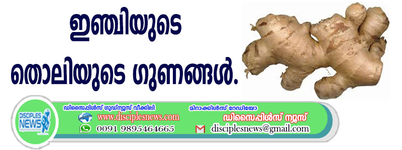 ഇഞ്ചിയുടെ തൊലിയുടെ ഗുണങ്ങള്‍