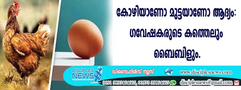 കോഴിയാണോ മുട്ടയാണോ ആദ്യം: ഗവേഷകരുടെ കണ്ടെത്തലും ബൈബിളും