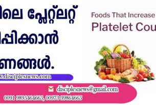 രക്തത്തിലെ പ്ളേറ്റ്ലറ്റ് വര്‍ദ്ധിപ്പിക്കാന്‍ ഭക്ഷണങ്ങള്‍