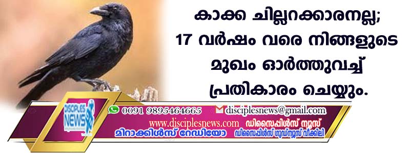 കാക്ക ചില്ലറക്കാരനല്ല; 17 വര്‍ഷം വരെ നിങ്ങളുടെ മുഖം ഓര്‍ത്ത് വച്ച് പ്രതികാരം ചെയ്യും