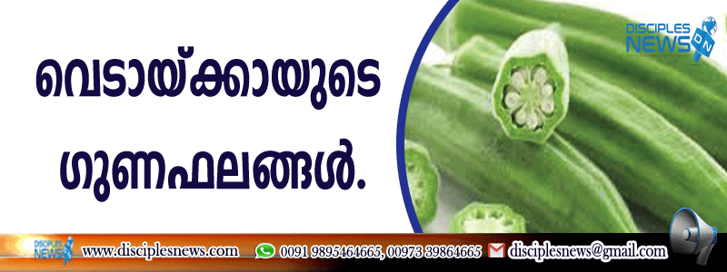 വെണ്ടയ്ക്കായുടെ ഗുണ ഫലങ്ങള്‍