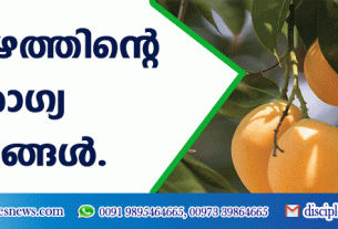 മാമ്പഴത്തിന്റെ ആരോഗ്യ ഗുണങ്ങള്‍