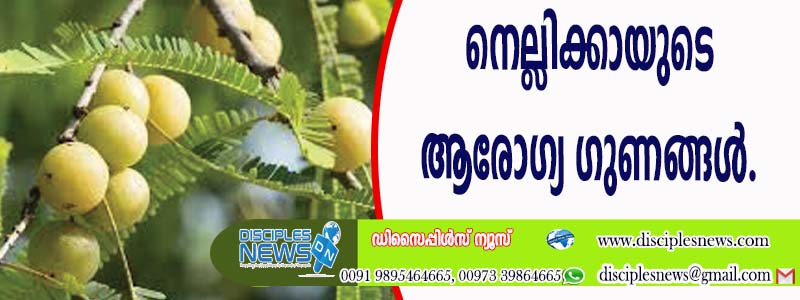 നെല്ലിക്കായുടെ ആരോഗ്യ ഗുണങ്ങള്‍