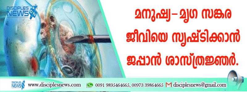 മനുഷ്യ-മൃഗ സങ്കര ജീവിയെ സൃഷ്ടിക്കാന്‍ ജപ്പാന്‍ ശാസ്ത്രജ്ഞര്‍