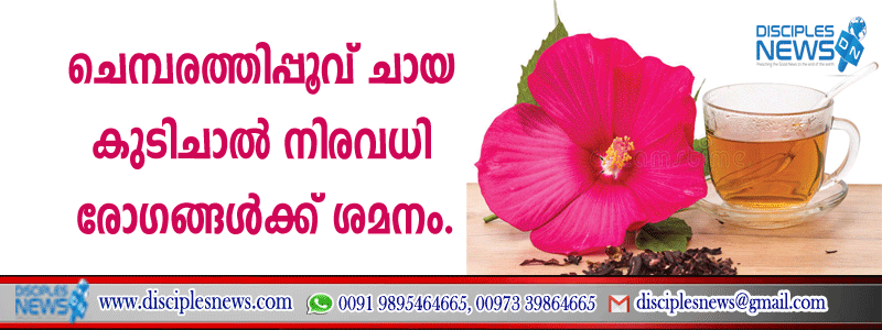 ചെമ്പരത്തിപ്പൂവ് ചായ കുടിച്ചാല്‍ നിരവധി രോഗങ്ങള്‍ക്ക് ശമനം