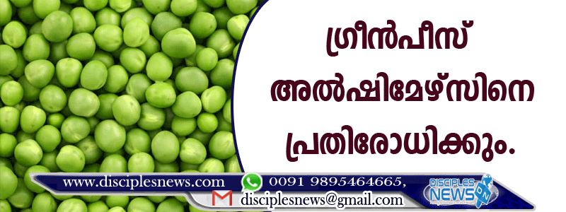 ഗ്രീന്‍പീസ് അല്‍ഷിമേഴിസിനെ പ്രതിരോധിക്കും