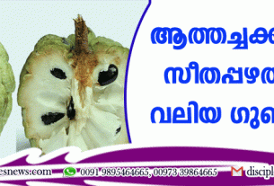 ആത്തച്ചക്ക എന്ന സീതപ്പഴത്തിന്റെ വലിയ ഗുണങ്ങള്‍