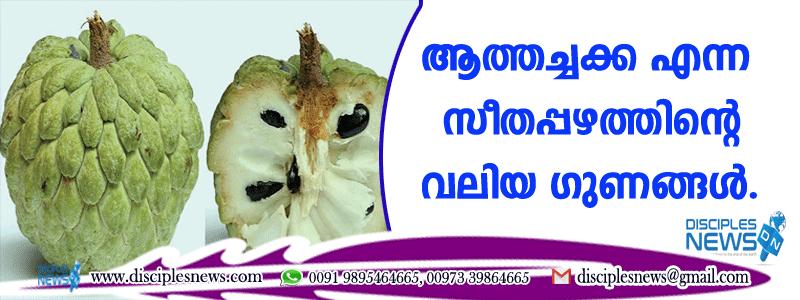ആത്തച്ചക്ക എന്ന സീതപ്പഴത്തിന്റെ വലിയ ഗുണങ്ങള്‍