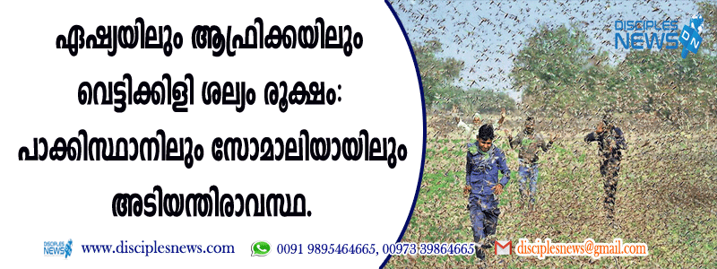 ഏഷ്യയിലും ആഫ്രിക്കിലും വെട്ടുക്കിളി ശല്യം രൂക്ഷം