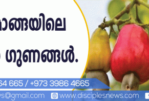 കശുമാങ്ങയിലെ ഔഷധ ഗുണങ്ങള്‍