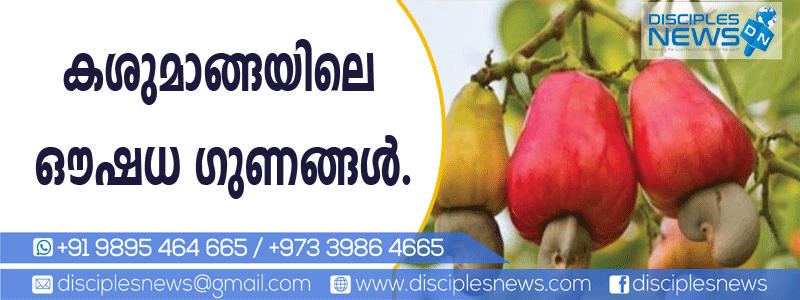 കശുമാങ്ങയിലെ ഔഷധ ഗുണങ്ങള്‍