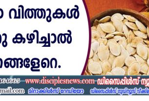 മത്തങ്ങ വിത്തുകള്‍ വറുത്തു കഴിച്ചാല്‍ ഗുണങ്ങളേറെ