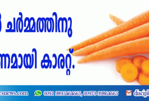 വേനലില്‍ ചര്‍മ്മത്തിനു സംരക്ഷണമായി കാരറ്റ്