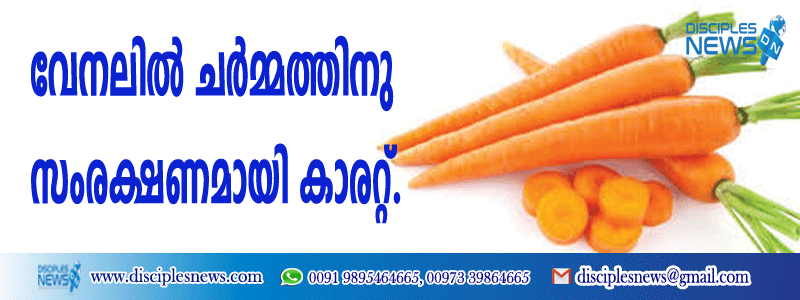 വേനലില്‍ ചര്‍മ്മത്തിനു സംരക്ഷണമായി കാരറ്റ്