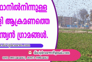 പാക്കിസ്ഥാനില്‍നിന്നുള്ള വെട്ടിക്കിളി ആക്രമണത്തെ ഭയന്ന് ഇന്ത്യന്‍ ഗ്രാമങ്ങള്‍