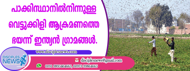 പാക്കിസ്ഥാനില്‍നിന്നുള്ള വെട്ടിക്കിളി ആക്രമണത്തെ ഭയന്ന് ഇന്ത്യന്‍ ഗ്രാമങ്ങള്‍