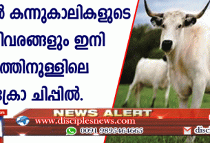 കേരളത്തില്‍ കന്നുകാലികളുടെ എല്ലാ വിവരങ്ങളും ഇനി ശരീരത്തിനുള്ളിലെ മൈക്രോചിപ്പില്‍