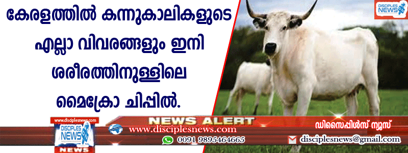 കേരളത്തില്‍ കന്നുകാലികളുടെ എല്ലാ വിവരങ്ങളും ഇനി ശരീരത്തിനുള്ളിലെ മൈക്രോചിപ്പില്‍