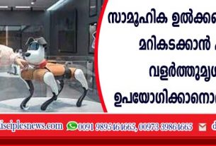 സാമൂഹിക ഉല്‍ക്കണ്ഠയെ മറികടക്കാന്‍ എഐ വളര്‍ത്തു മൃഗങ്ങളെ ഉപയോഗിക്കാനൊരുങ്ങി ചൈന