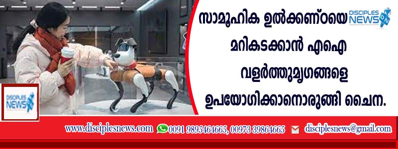 സാമൂഹിക ഉല്‍ക്കണ്ഠയെ മറികടക്കാന്‍ എഐ വളര്‍ത്തു മൃഗങ്ങളെ ഉപയോഗിക്കാനൊരുങ്ങി ചൈന