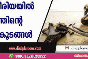 സൈബീരിയയില്‍ മാമത്തിന്റെ അസ്ഥികൂടങ്ങള്‍ കണ്ടെത്തി