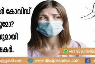 കൊതുകുകള്‍ കോവിഡ് പരത്തുമോ? മറുപടിയുമായി ഗവേഷകര്‍