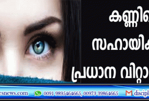 കണ്ണിനെ സഹായിക്കുന്ന പ്രധാന വിറ്റാമിനുകള്‍