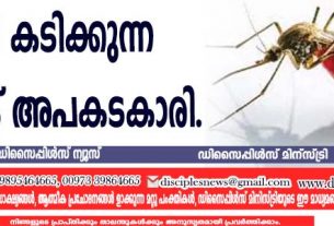 പകല്‍ കടിക്കുന്ന കൊതുക് അപകടകാരി