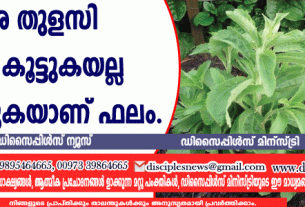 മധുര തുളസി മധുരം കൂട്ടുകയല്ല, കുറയ്ക്കുകയാണ് ഫലം