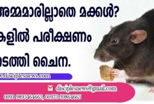 ഭാവിയില്‍ അമ്മമാരില്ലാതെ മക്കള്‍? എലികളില്‍ പരീക്ഷണം നടത്തി ചൈന