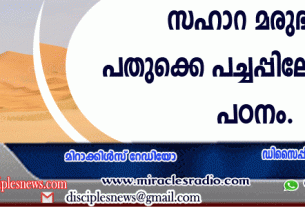 സഹാറ മരുഭൂമി പതുക്കെ പച്ചപ്പിലേക്കെന്നു പഠനം