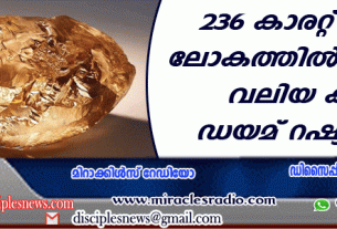 236 കാരറ്റ് മൂല്യം; ലോകത്തില്‍ ഏറ്റവും വലിയ കളര്‍ ഡയമണ്ട് റഷ്യയില്‍