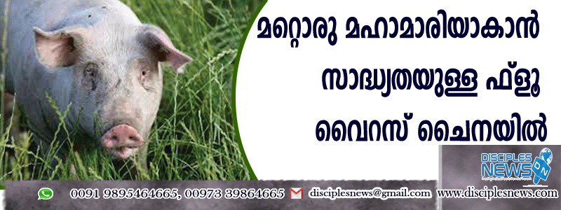 മറ്റൊരു മഹാമാരിയാകാന്‍ സാധ്യതയുള്ള ഫ്ളൂ വൈറസ് ചൈനയില്‍ കണ്ടെത്തി
